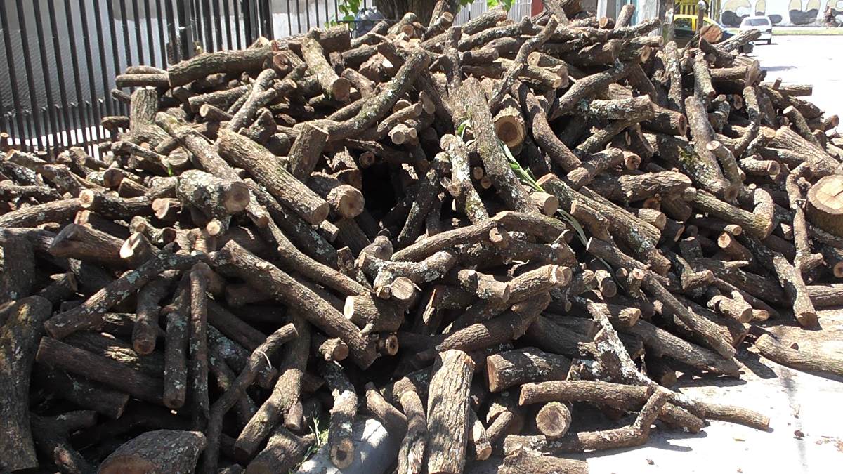 CONCEJALES DEL FRENTE TODOS PROPUSIERON CREAR EL DEP&Oacute;SITO MUNICIPAL DE LE&Ntilde;A Y RESTOS DE PODA