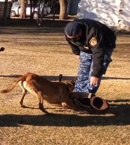 Dante Ar&eacute;valo "LA CAPACITACI&Oacute;N DE NUESTROS CANES ES RECONOCIDA A NIVEL PROVINCIAL"