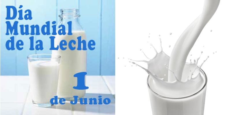 D&Iacute;A MUNDIAL DE LA LECHE: LA IMPORTANCIA DE SU CONSUMO