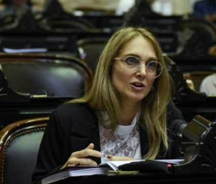 GABRIELA BROUWER PRESENT&Oacute; UN PROYECTO EN DEFENSA DE LOS FONDOS PARA LAS BIBLIOTECAS