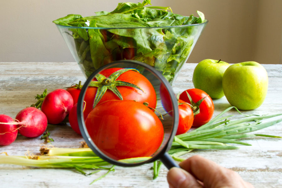 D&Iacute;A MUNDIAL DE LA INOCUIDAD DE LOS ALIMENTOS