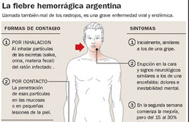 LA DOCTORA SANTI NOS HABL&Oacute; DE LA FIEBRE HEMORR&Aacute;GICA ARGENTINA