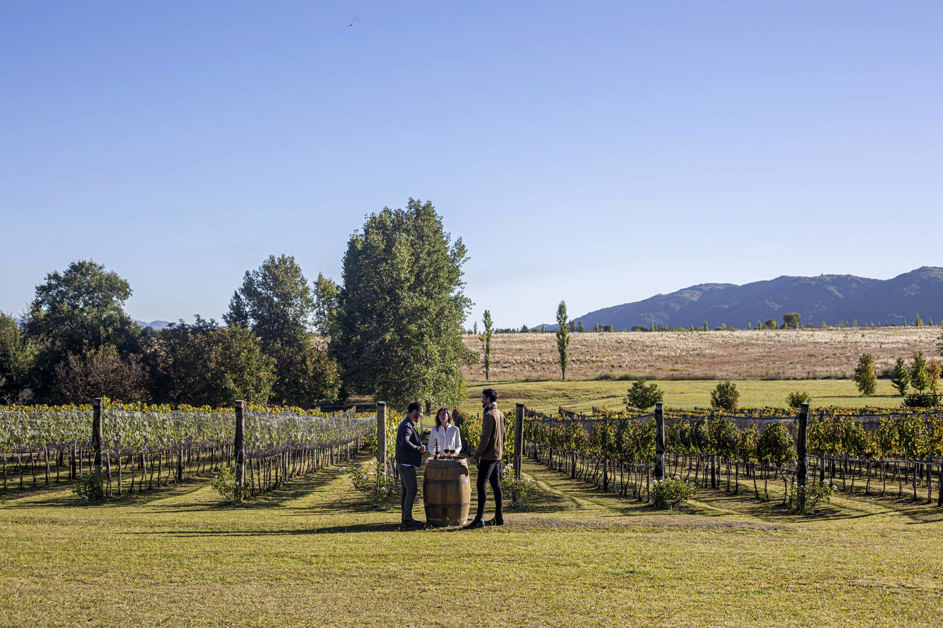 FINDE XXL: EN C&Oacute;RDOBA LOS NIVELES DE OCUPACI?&rsquo;N TUR�STICA PROMEDIARON EL 70%