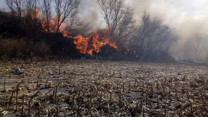 Abel Dom&iacute;nguez (Jefe de Bomberos): "de Rio Tercero se llevaron 5 dotaciones, en total participaron 12 dotaciones con m&aacute;s de 50 Bomberos en el lugar&rdquo;