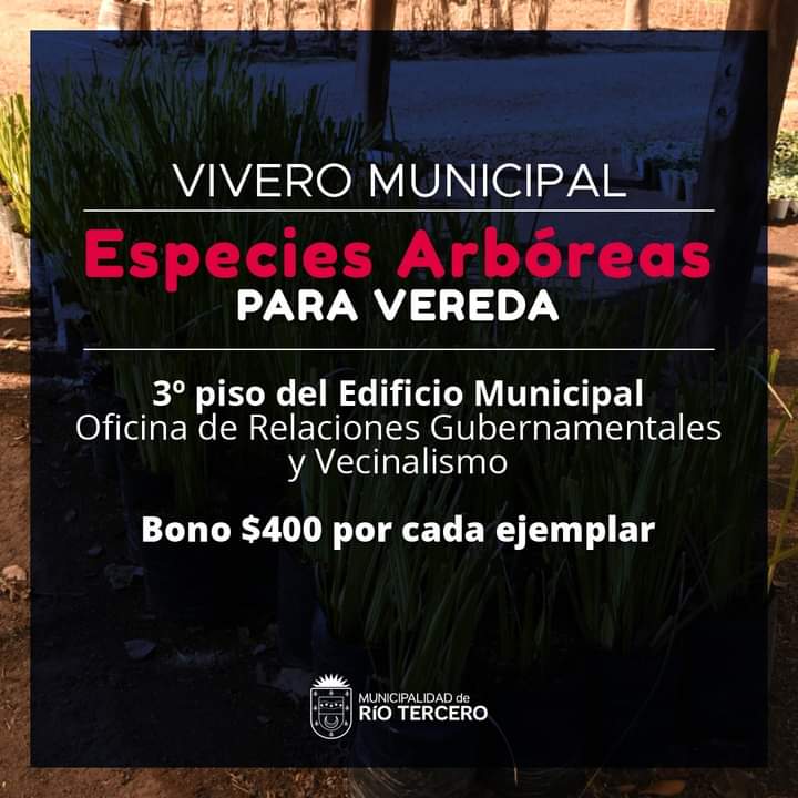 YA EST&Aacute;N DISPONIBLES LOS &Aacute;RBOLES PARA VEREDAS