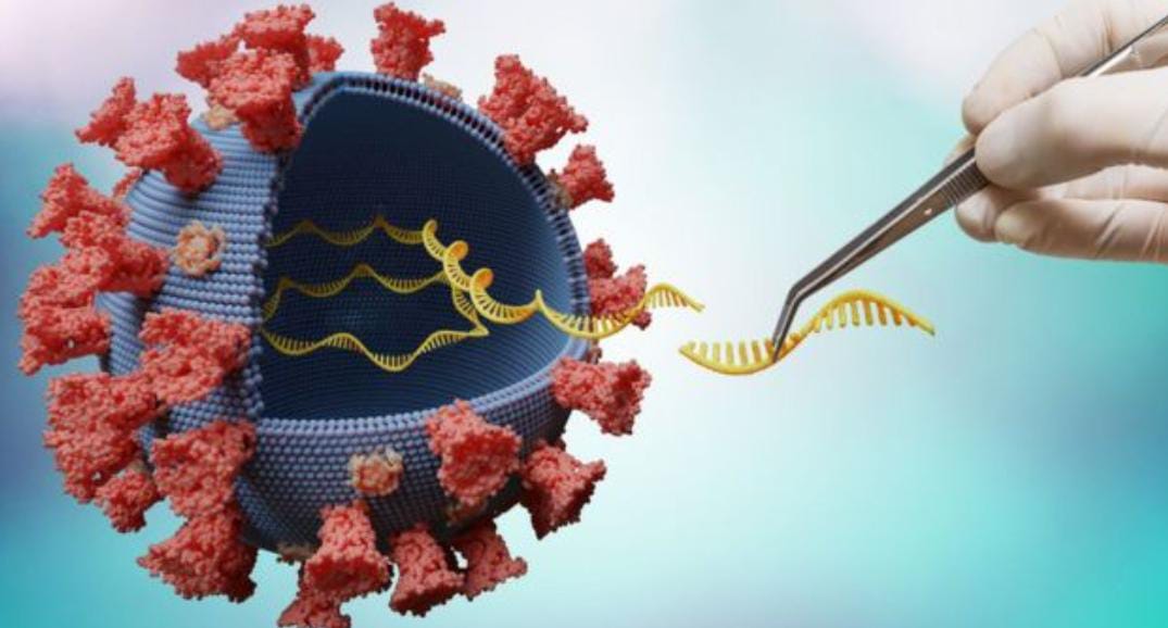 Salud detect&oacute; el primer caso de la variante Delta en C&oacute;rdoba 