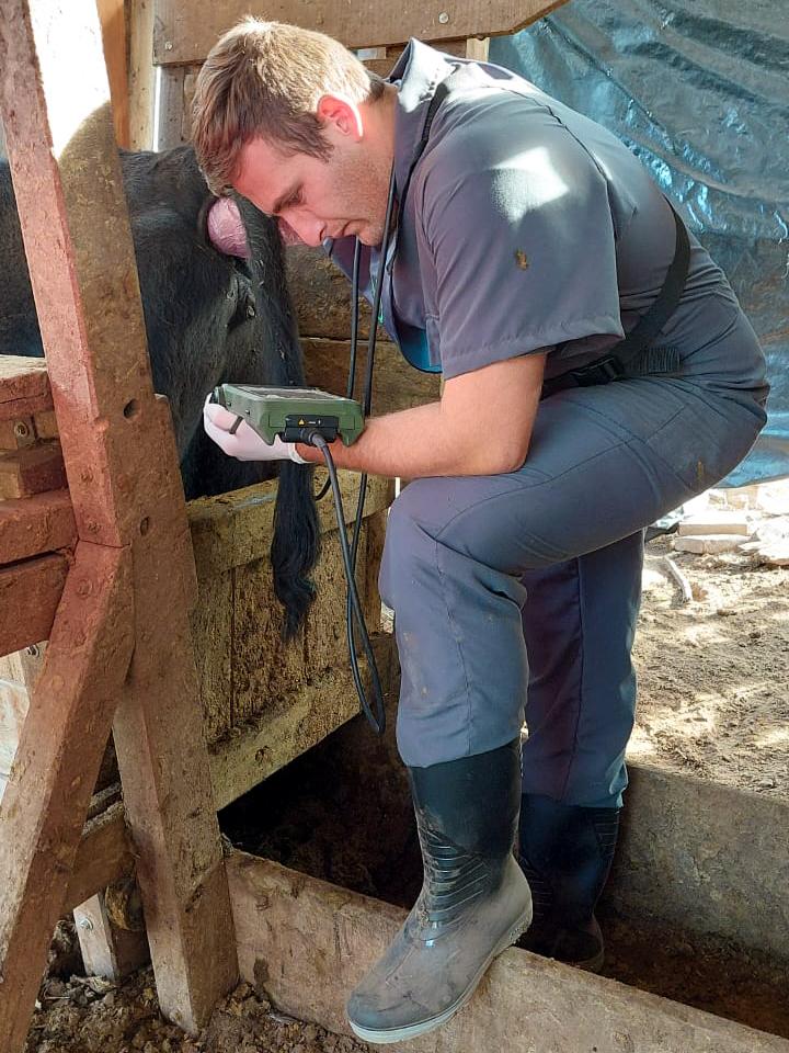 D&Iacute;A MUNDIAL DE LAS ZOONOSIS