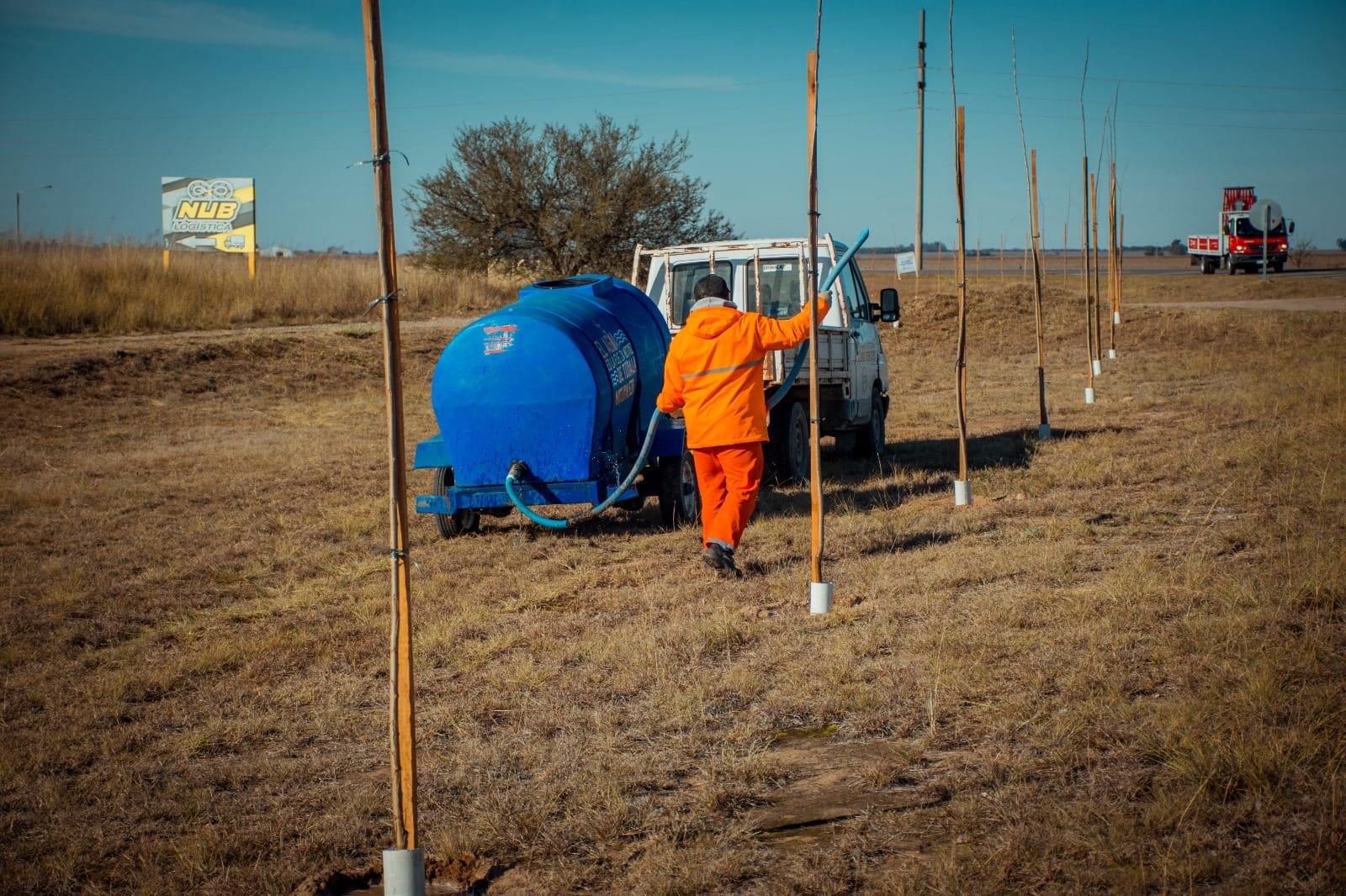 EL MUNICIPIO LLEVA COLOCADOS 500 &Aacute;RBOLES EN EL TR&Aacute;NSITO PESADO SUR 