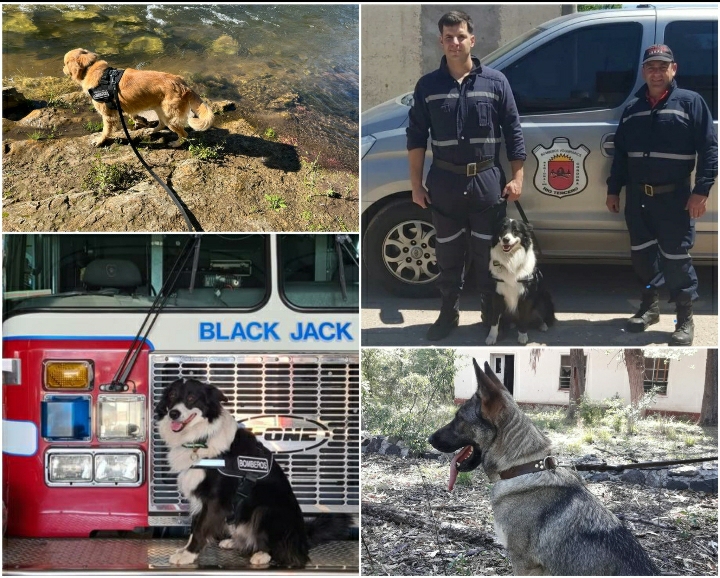 BOMBEROS DE R&Iacute;O TERCERO CUENTA CON SEIS CANES EN SUS FILAS