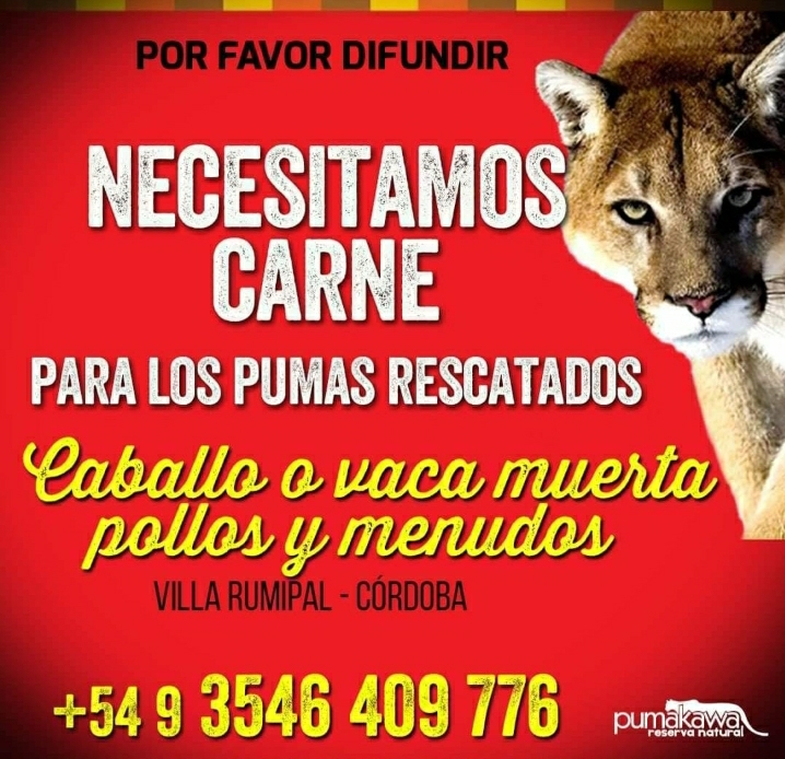 LA RESERVA PUMAKAWA EST&Aacute; NECESITANDO COMIDA PARA LOS ANIMALES