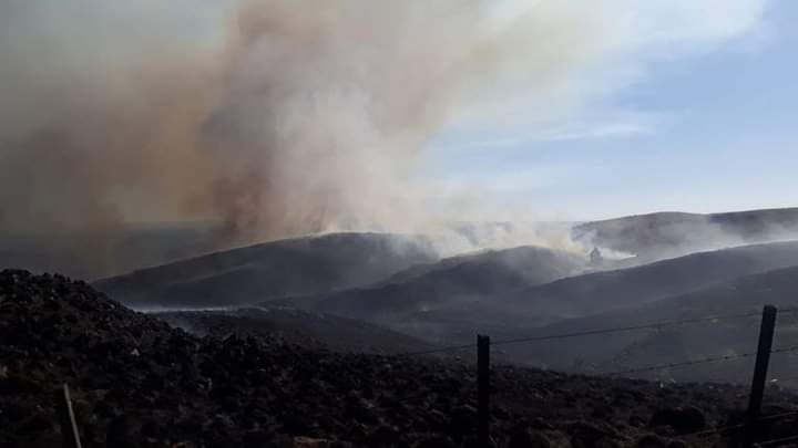 El riesgo de incendios es extremo en la provincia.