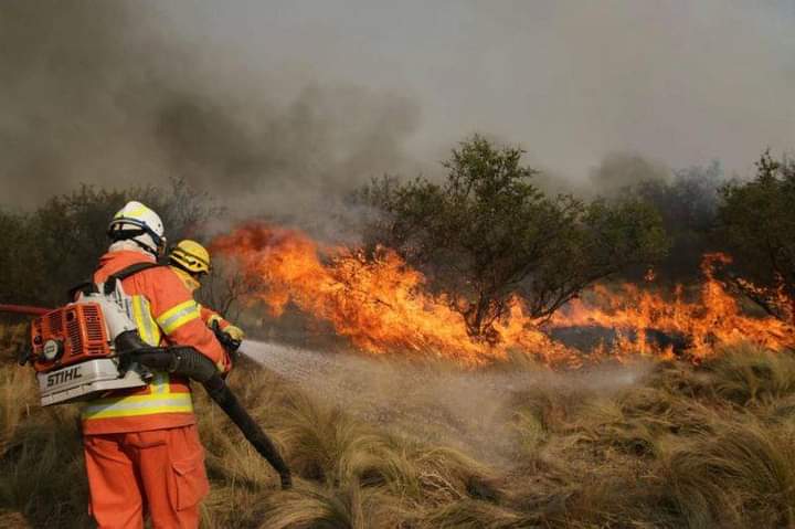 Bomberos logran contener varios incendios