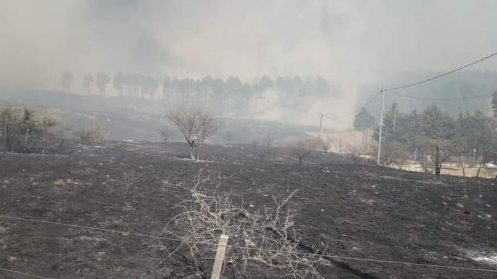 Incendios Athos Pampa y Potrero de Garay est&aacute;n en guardia de cenizas muy activas.