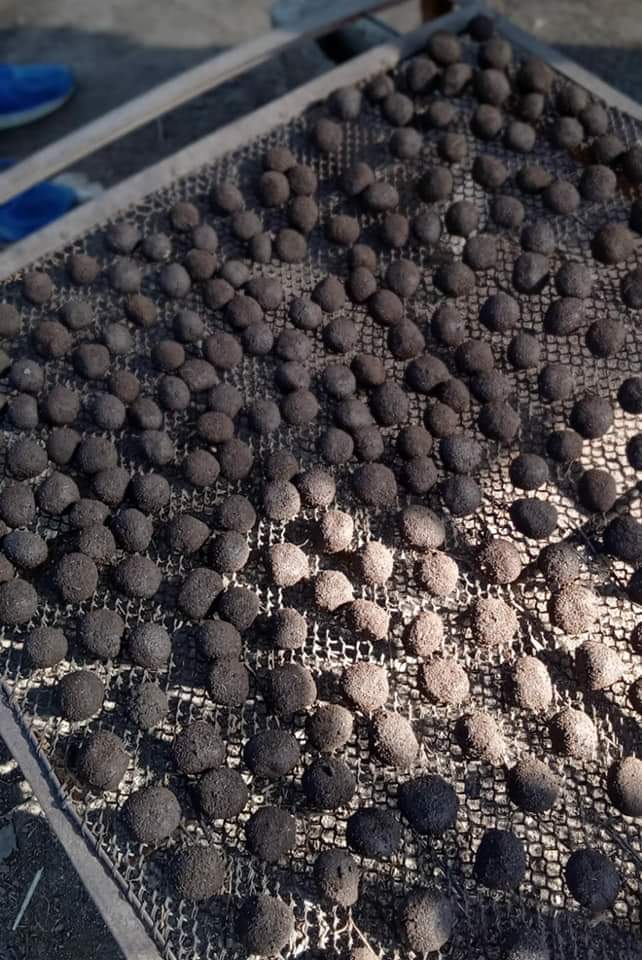 EL ROTARY CLUB BUSCA ELABORAR 2000 BOMBAS DE SEMILLAS 