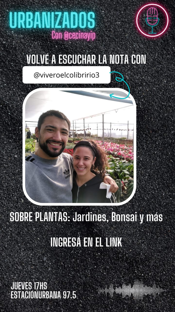 URBANIZADOS ENTREVISTA SOBRE PLANTAS : JARDINES, BONSAI Y M&Aacute;S 