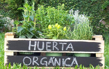 NOTICIAS + IVA: HUERTA ORG&Aacute;NICA 