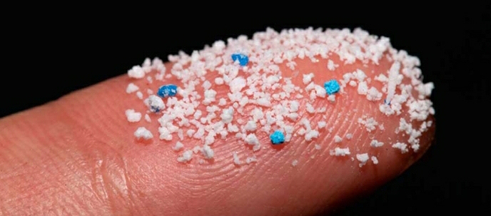 DAYHANA PALACIOS NOS HABL&Oacute; DE LA PROBLEM&Aacute;TICA DE LAS PART&Iacute;CULAS DE MICRO PL&Aacute;STICO