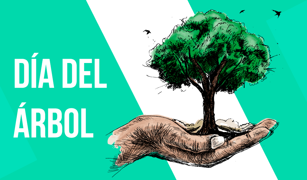 HERN&Aacute;N FUENSALIDA: UNO TRATA DE COSECHAR Y VOLVER A SEMBRAR LAS SEMILLAS QUE EL NANO NOS DEJ&Oacute;