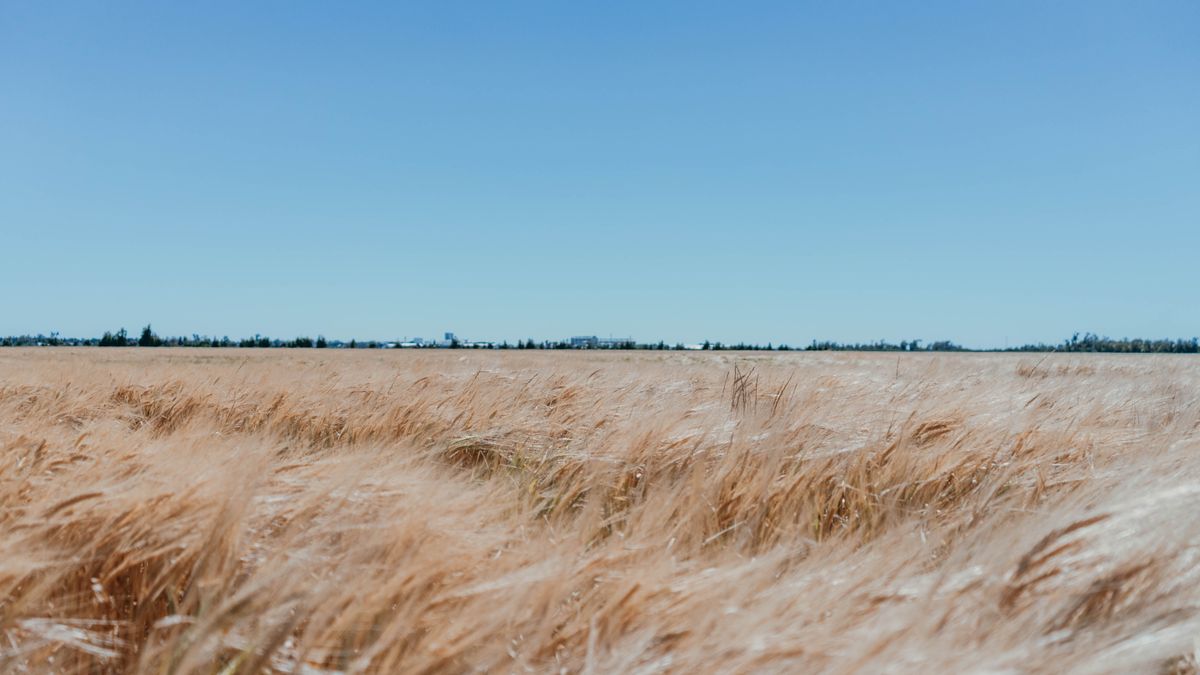 C&Oacute;RDOBA BAJ&Oacute; AL&Iacute;CUOTAS DE INGRESOS BRUTOS Y BENEFICIA A 9000 EMPRESAS VINCULADAS AL AGRO