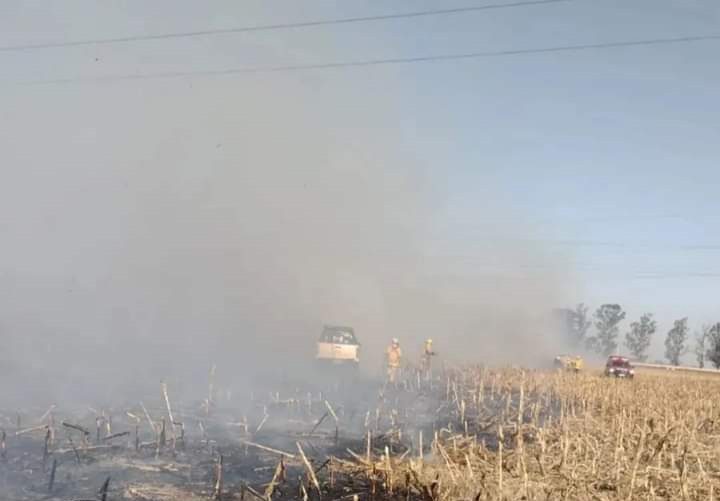 CASI 70 BOMBEROS TRABAJARON PARA COMBATIR EL FUEGO QUE CRUZ&Oacute; LA AUTOV&Iacute;A