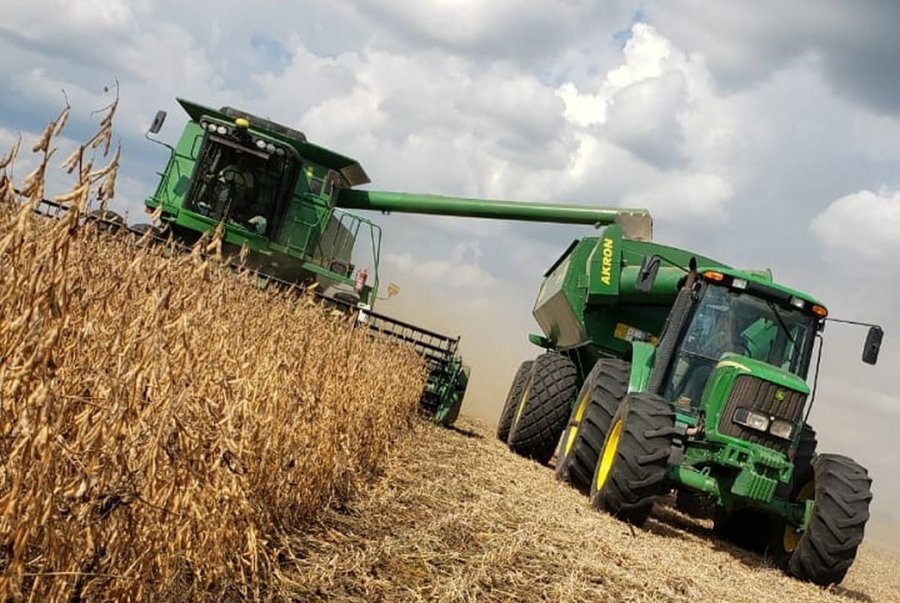 MAT&Iacute;AS PISTELLI: LA CADENA DE COMERCIALIZACI&Oacute;N SE HA RALENTIZADO
