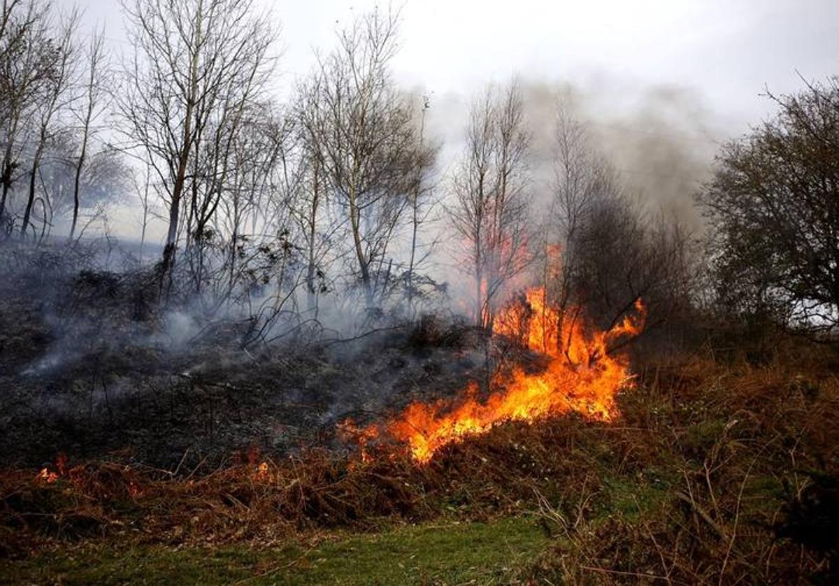 EN EL D&Iacute;A POR LA PREVENCI&Oacute;N DE LOS INCENDIOS FORESTALES HABLAMOS CON DIEGO DELMASTRO