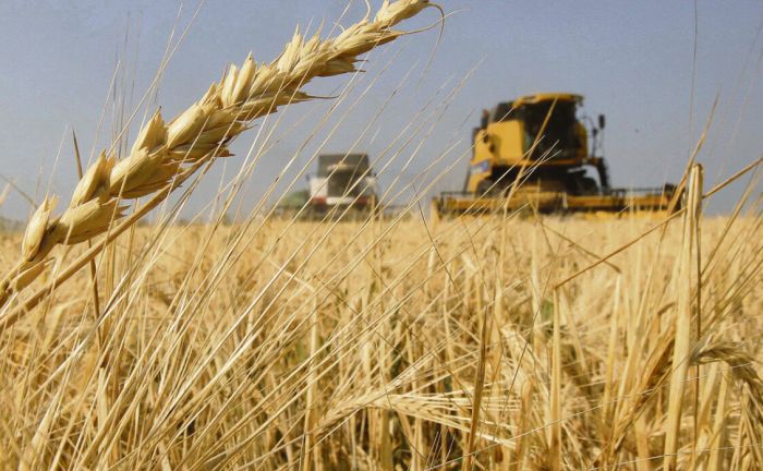 MAT&Iacute;AS PISTELLI: LAS MEDIDAS ANUNCIADAS NO MEJORAR&Aacute;N LA SITUACI&Oacute;N DEL CAMPO