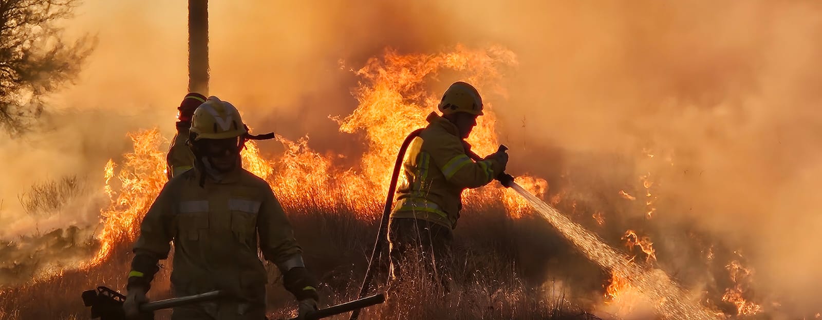 Abel Domínguez: tres dotaciones trabajan para extinguir el incendio de pastizales