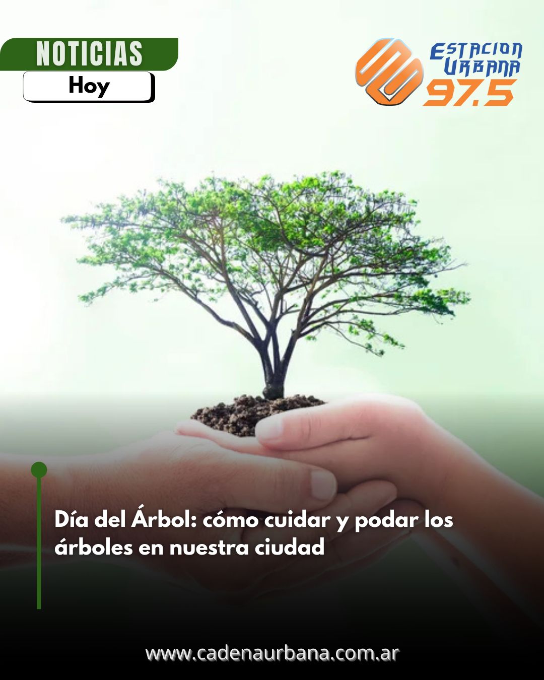 Día del Árbol: cómo avanza el arbolado urbano en Río Tercero