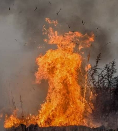 CHARLY FOT&Oacute;GRAFO "CUANDO LA VI ME CORRI&Oacute; UN ESCALOFR&Iacute;O MUY GRANDE"