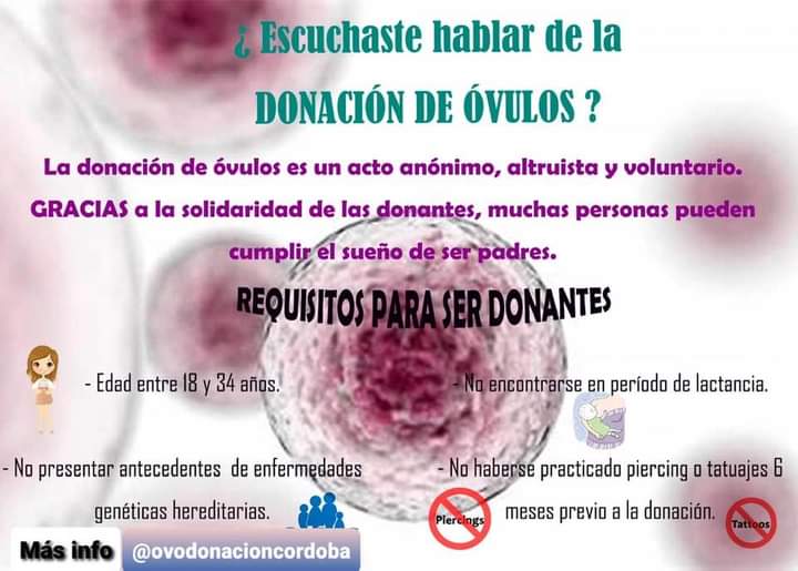LA IMPORTANCIA DE LA DONACI&Oacute;N DE &Oacute;VULOS