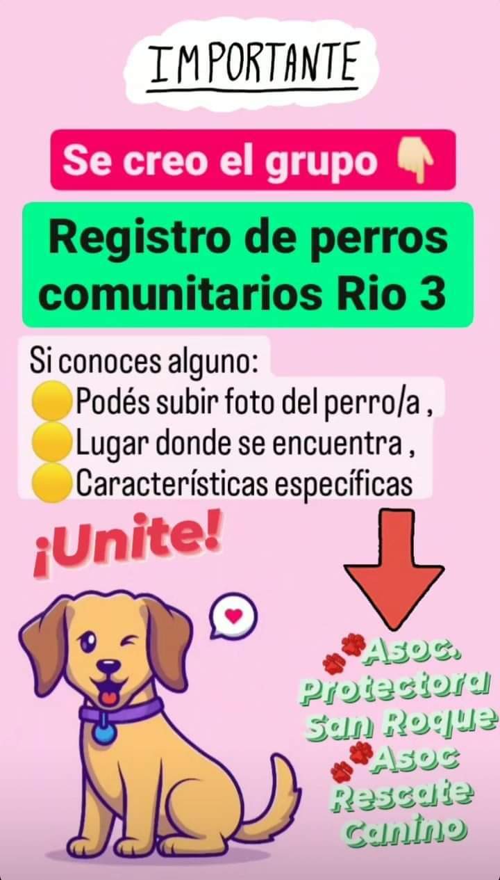 CREARON UN REGISTRO DIGITAL DE PERROS CALLEJEROS