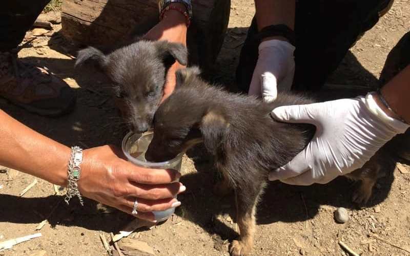CAMPA&Ntilde;A DE FEDERACI&Oacute;N AGRARIA R&Iacute;O TERCERA PARA AYUDAR EN VALLE DE PUNILLA