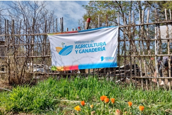 Huerta en tu Hogar: se lanz&oacute; la temporada primavera-verano