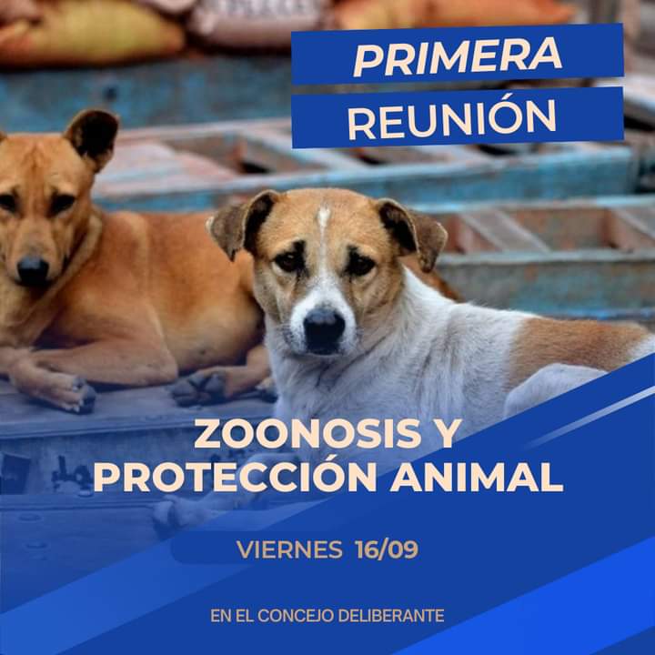 CONVOCATORIA DEL CONCEJO DELIBERANTE PARA TRATAR EL PROYECTO DE ZOONOSIS Y PROTECCI&Oacute;N ANIMAL 