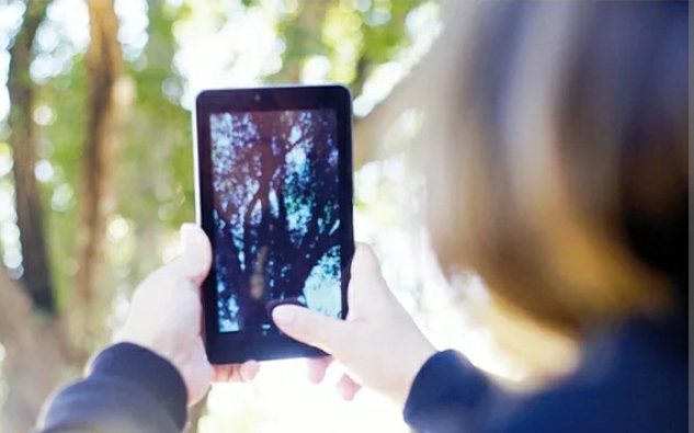 ARBOLADO: YA LLEVAN CENSADOS ONCE BARRIOS DE LA CIUDAD