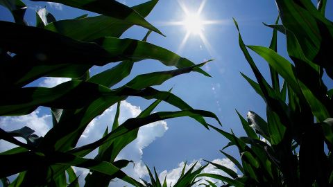 Jesús Canto: tendremos una primavera con temperaturas atípicas y el martes podría llegar a 38 grados