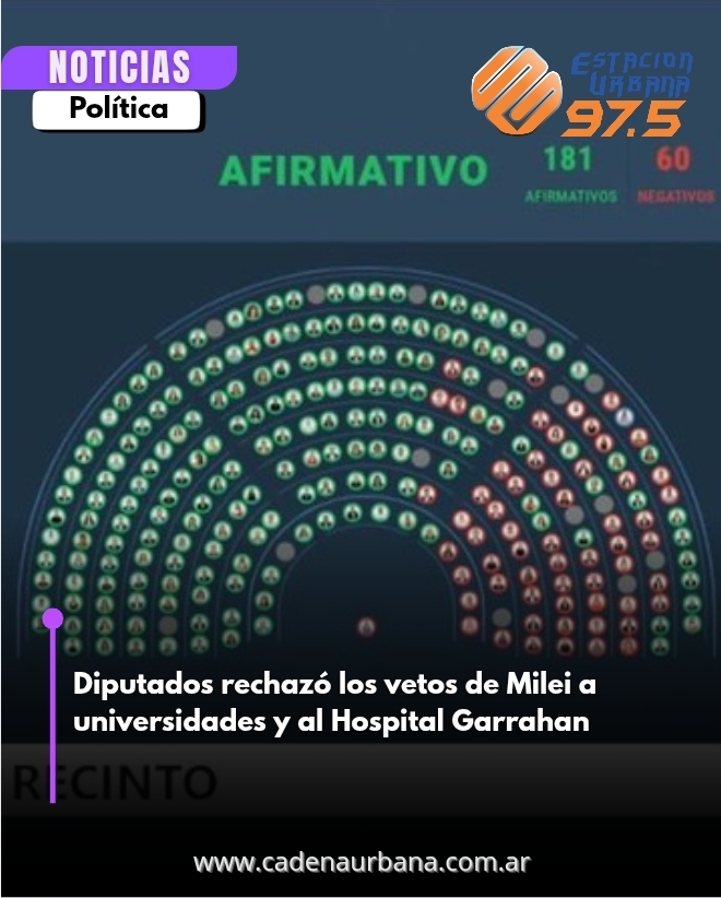 Diputados rechazó los vetos de Milei a universidades y al Hospital Garrahan