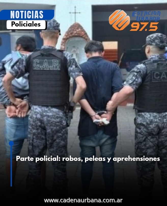 Parte policial: robos, peleas y aprehensiones