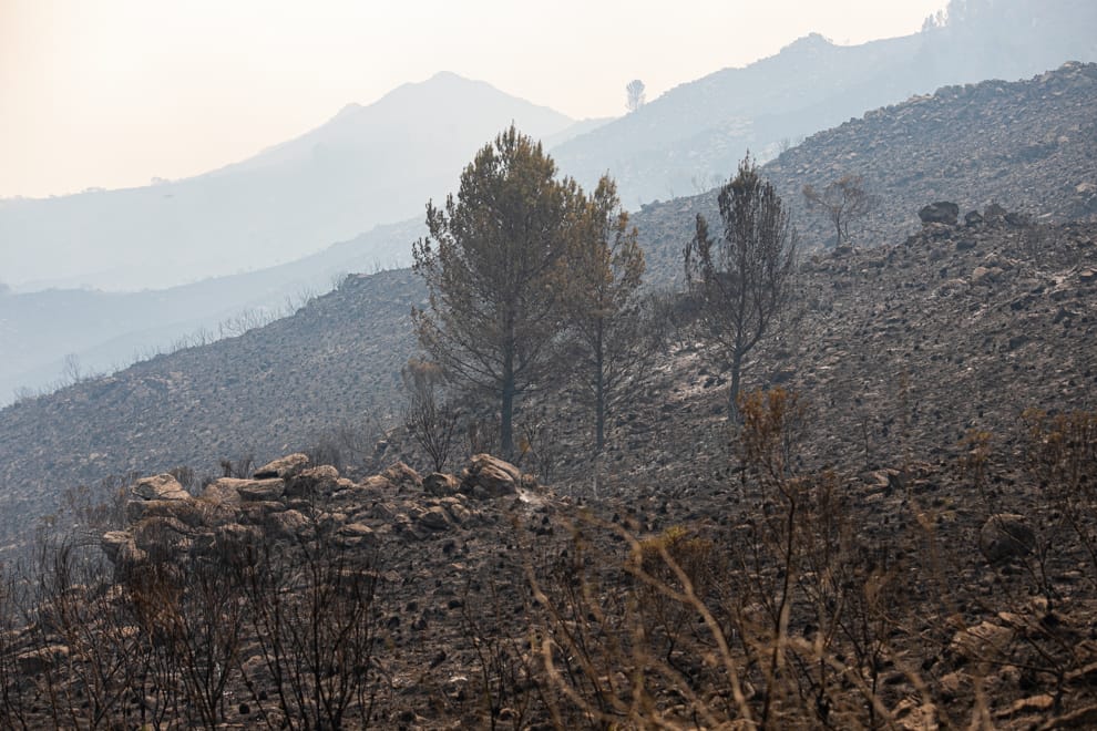 EL FUEGO EST&Aacute; CONTENIDO EN LAS DIFERENTES &Aacute;REAS SINIESTRADAS