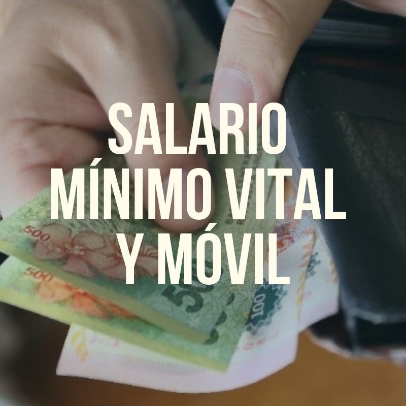 El Gobierno oficializ&oacute; el aumento del salario m&iacute;nimo, vital y m&oacute;vil en tres tramos