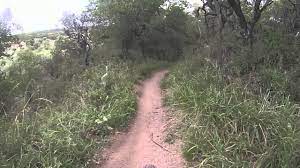 PREOCUPACI&Oacute;N DE LA COMISI&Oacute;N DE ARBOLADO POR LA DEPREDACI&Oacute;N EN LA RESERVA CARACOL