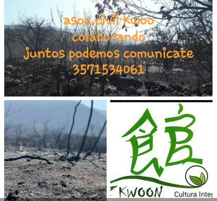 LA ASOCIACI&Oacute;N CIVIL KWOON ESTA REALIZANDO UNA CAMPA&Ntilde;A DE ALIMENTOS PARA LOS ANIMALES AFECTADOS POR LOS INCENDIOS 