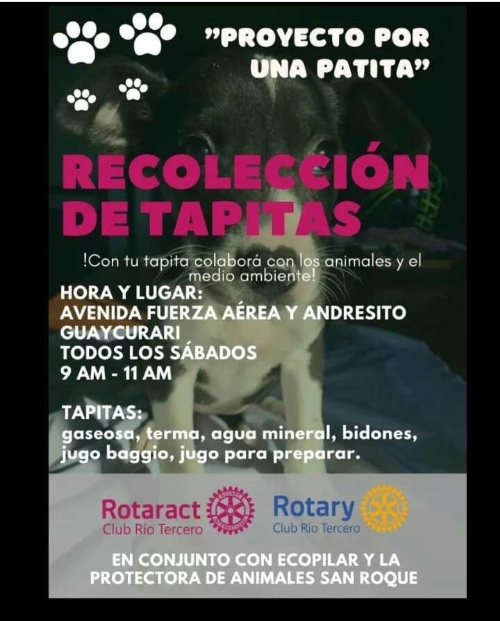 ROTARAC JUNTA TAPITAS PARA AYUDAR A LA PROTECTORA DE ANIMALES