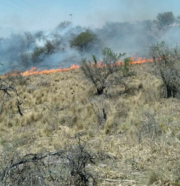 CUATRO DOTACIONES DE BOMBEROS COMBATEN INCENDIO EN LAS BAJADAS