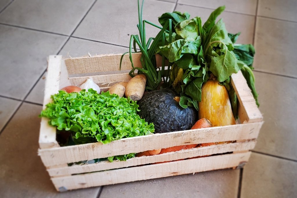 LAS FRUTAS Y VERDURAS SIGUEN AUMENTANDO Y SE ESPERA OTRO INCREMENTO IMPORTANTE PARA FIN DE A&Ntilde;O