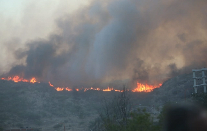 NOTICIAS + IVA : MART&Iacute;N LLARYORA PIDE AGRAVAR LAS PENAS PARA QUI&Eacute;NES OCASIONEN INCENDIOS