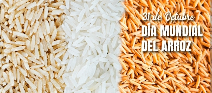 D&Iacute;A INTERNACIONAL DEL ARROZ: PROPIEDADES Y BENEFICIOS PARA LA SALUD 