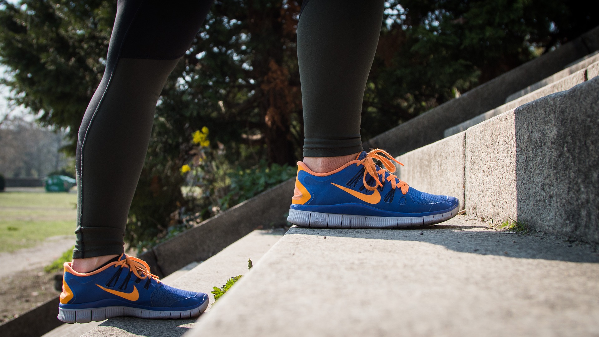 12 DE NOVIEMBRE: D&Iacute;A MUNDIAL DE LA OBESIDAD