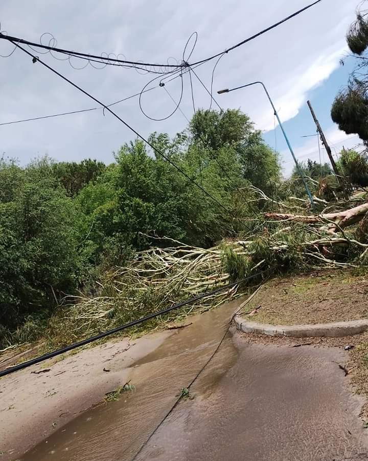 FUERTE TEMPORAL AZOT&Oacute; A RIO CUARTO
